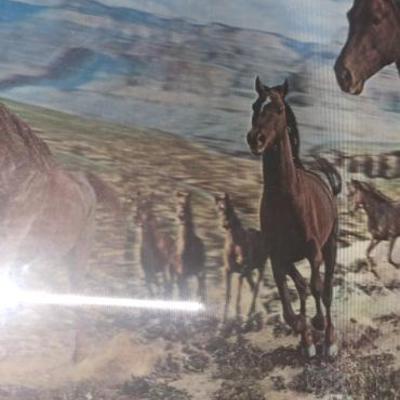 Sale Photo Thumbnail #427