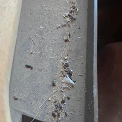 Sale Photo Thumbnail #27