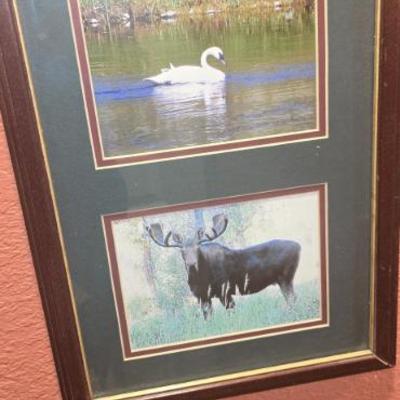 Sale Photo Thumbnail #518