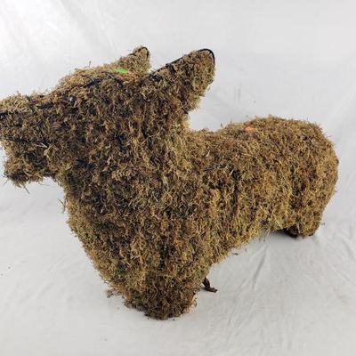 Sale Photo Thumbnail #31