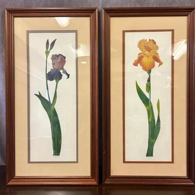 Pair Of Two Framed Floral Paintings by Nancy Nevin 