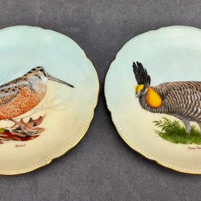 Two Vintage Bird Themed Decorative Porcelain Plates  