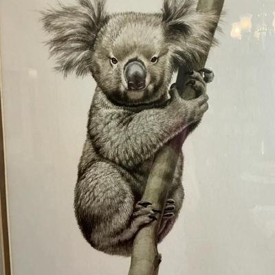 Koala By Guy Coheleach Lithograph