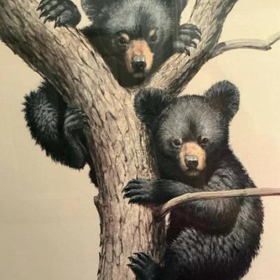 Black Bear Cubs By Guy Coheleach