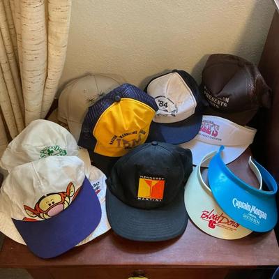 Collectible Hats/Visors