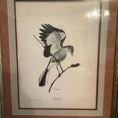 Mockingbird By Ray Harm Lithograph 1963