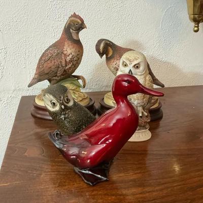 Bobwhites, Owls And A Lone Duck