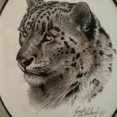 Snow Leopard Head By Guy Coheleach
