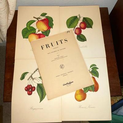 1950’s French Fruits