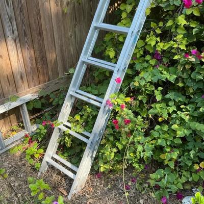 Werner 20ft Extension Ladder Aluminum