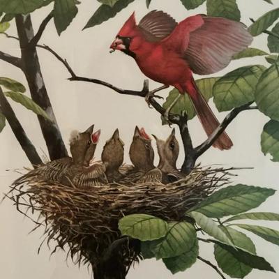 Cardinal By Ray Harm Lithograph