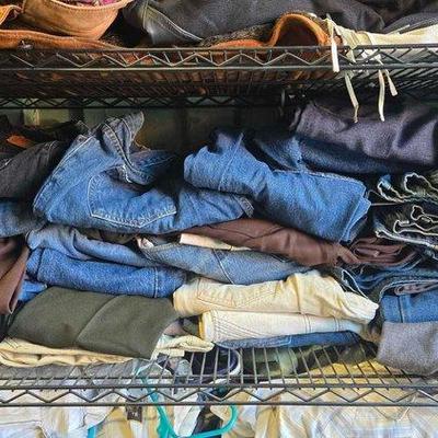 3530 • pant collection