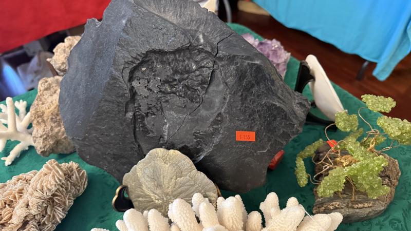 Sale Photo Thumbnail #100