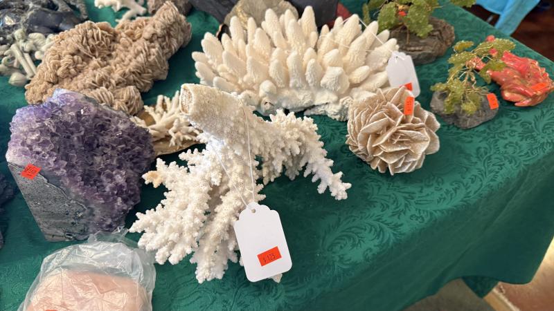 Sale Photo Thumbnail #101