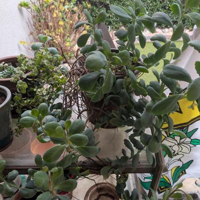 Sale Photo Thumbnail #227