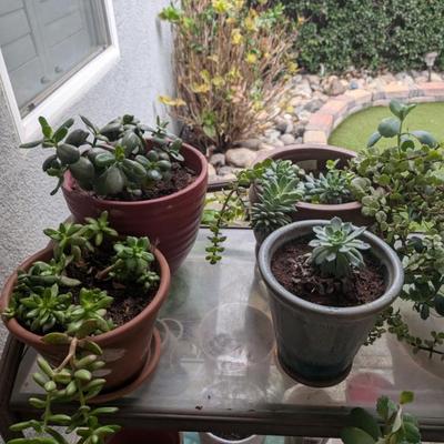 Sale Photo Thumbnail #229