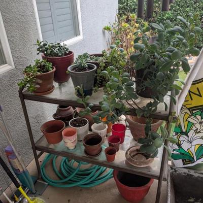 Sale Photo Thumbnail #226