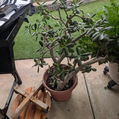 Sale Photo Thumbnail #238