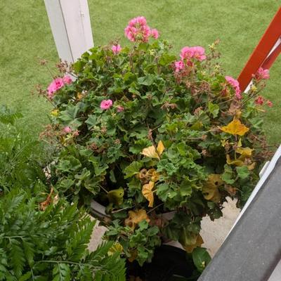 Sale Photo Thumbnail #240