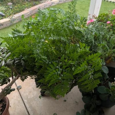 Sale Photo Thumbnail #239