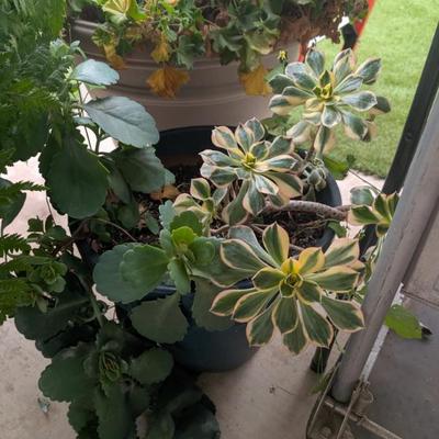 Sale Photo Thumbnail #241