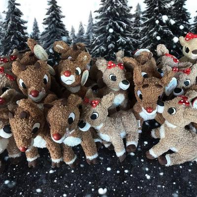 Sale Photo Thumbnail #21