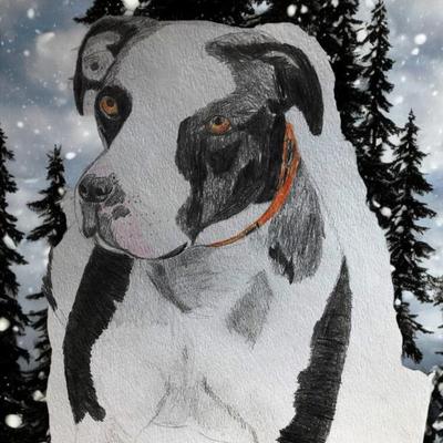 Sale Photo Thumbnail #201