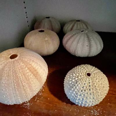 Sale Photo Thumbnail #84