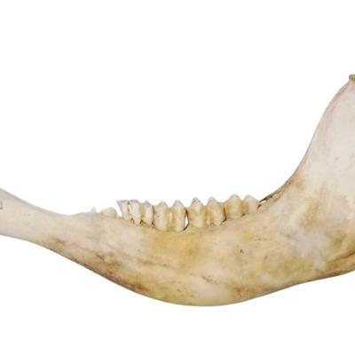 Sale Photo Thumbnail #115