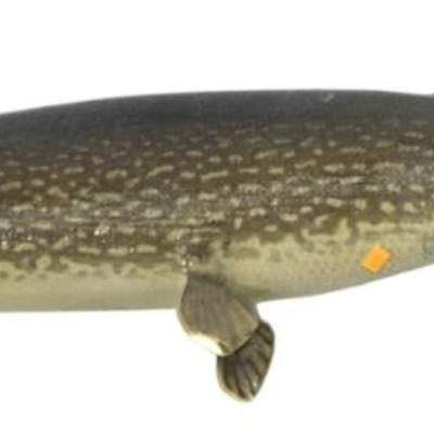 Sale Photo Thumbnail #482