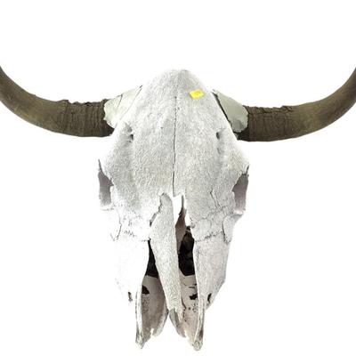 Sale Photo Thumbnail #634