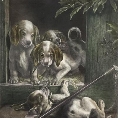 Sale Photo Thumbnail #974