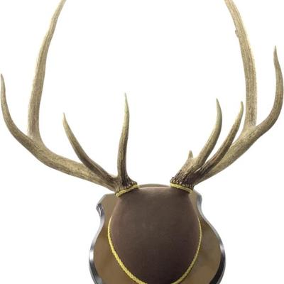 Sale Photo Thumbnail #479