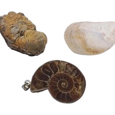 Sale Photo Thumbnail #225