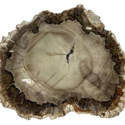 Sale Photo Thumbnail #9