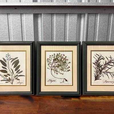 Catherine Walden Signed Prints Set of (3)