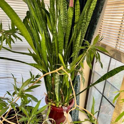 Sale Photo Thumbnail #86