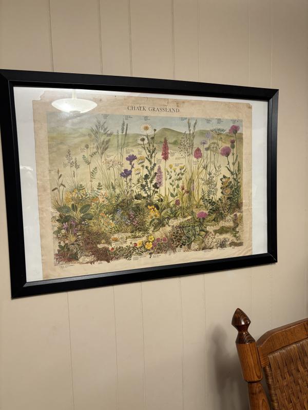 Sale Photo Thumbnail #20