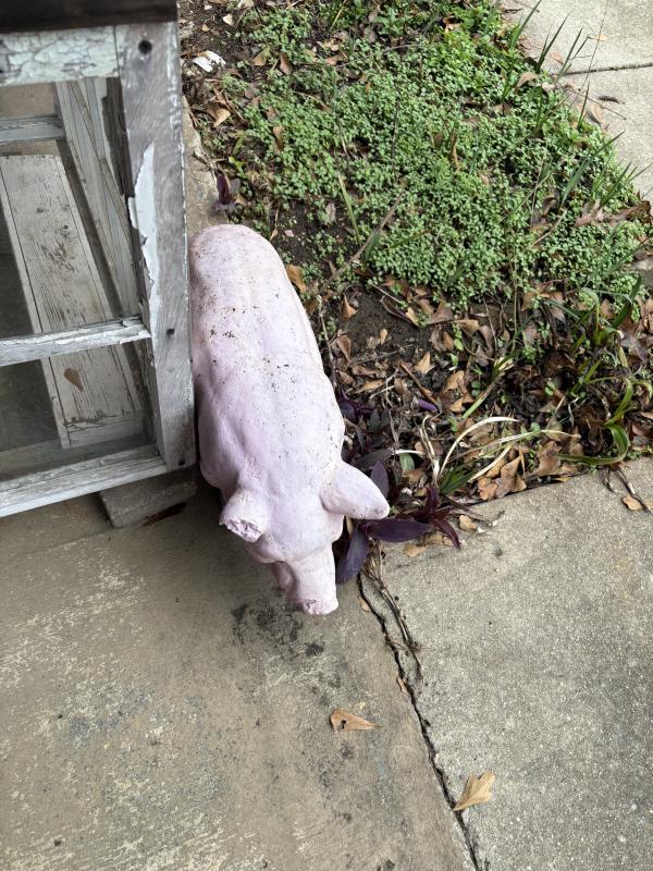 Sale Photo Thumbnail #11