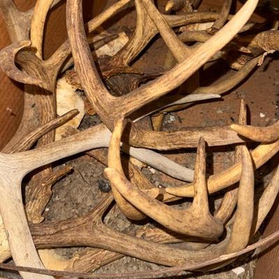 Sale Photo Thumbnail #51