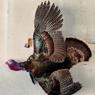 Sale Photo Thumbnail #12