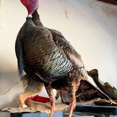 Sale Photo Thumbnail #19