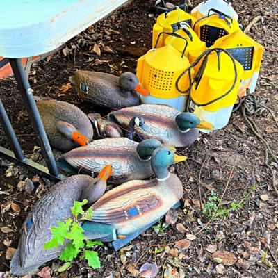 Sale Photo Thumbnail #28