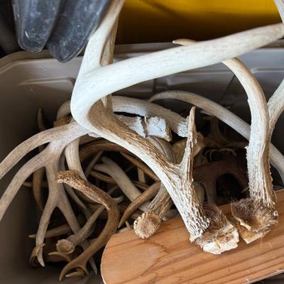 Sale Photo Thumbnail #50