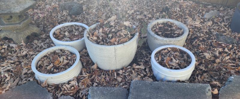 Sale Photo Thumbnail #147