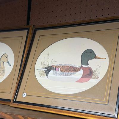 Sale Photo Thumbnail #456