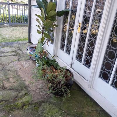 Sale Photo Thumbnail #59