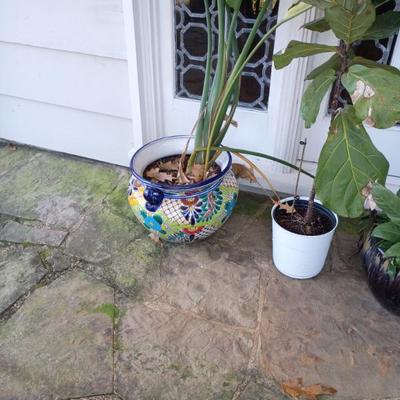 Sale Photo Thumbnail #62