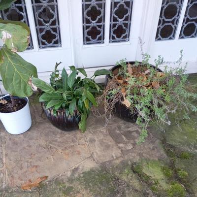 Sale Photo Thumbnail #60