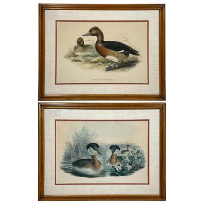 (2pc) Waterfowl Prints | Each uniformly matted and framed - h. 20 x w. 26 in (ea. frame)
